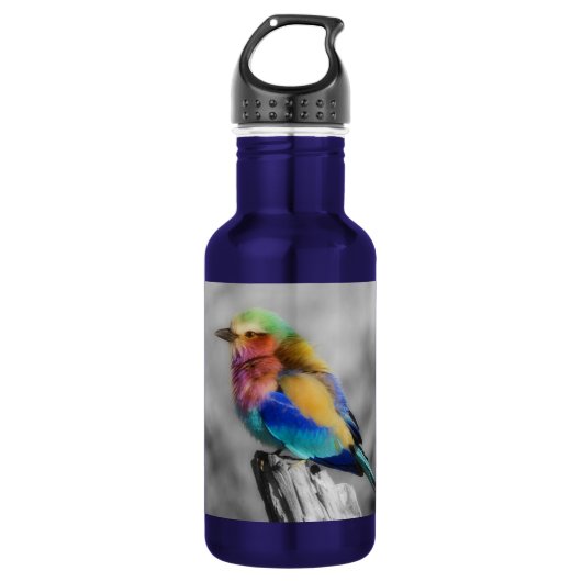 Rainbow Bird Trinkflasche (Vorderseite)