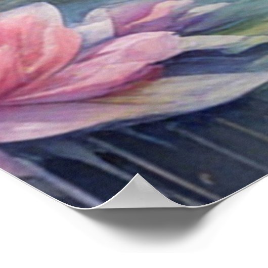 Rainbow Birds Swan 1 Poster (Ecke)