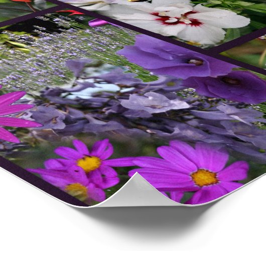 Rainbow Blume - Earth Laughs von Emerson Poster (Ecke)