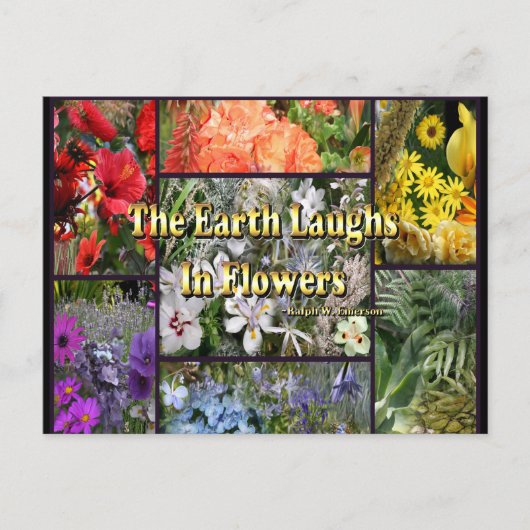 Rainbow Blume - Earth Laughs von Emerson Postkarte (Vorderseite)