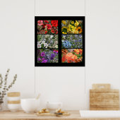 Rainbow Blume FotoCollage Poster (Küche)