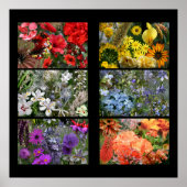 Rainbow Blume FotoCollage Poster (Vorne)