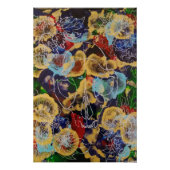 Rainbow-Bobcat-Explosion Poster (Vorderseite)