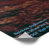 Rainbow Bodhisattva/Poster Poster (Ecke)