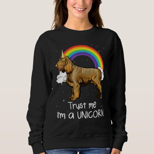 Rainbow Boykin Spaniel Vertrau mir ich bin ein Ein Sweatshirt (Vorderseite)