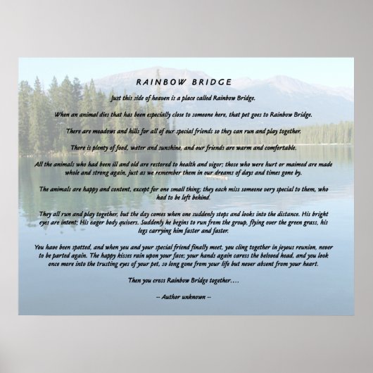 Rainbow Bridge 2 Poster (Vorne)