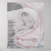 Rainbow Bridge (bearbeitet) Poster (Vorne)