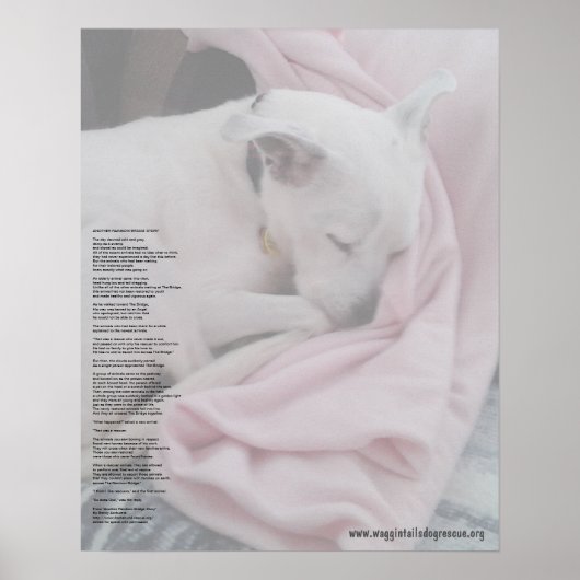 Rainbow Bridge (bearbeitet) Poster (Vorne)