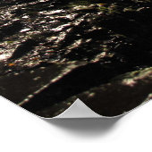 Rainbow Bridge bei Watkins Glen Staat Park Poster (Ecke)