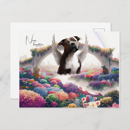 Rainbow Bridge Beileid Keepake Postkarte (Vorne/Hinten)