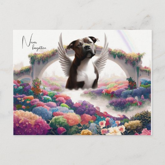 Rainbow Bridge Beileid Keepake Postkarte (Vorderseite)