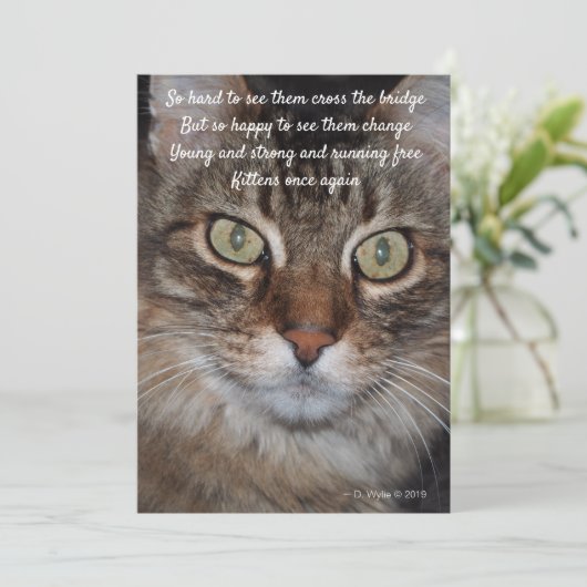 Rainbow Bridge - Cat (Stehend Vorderseite)