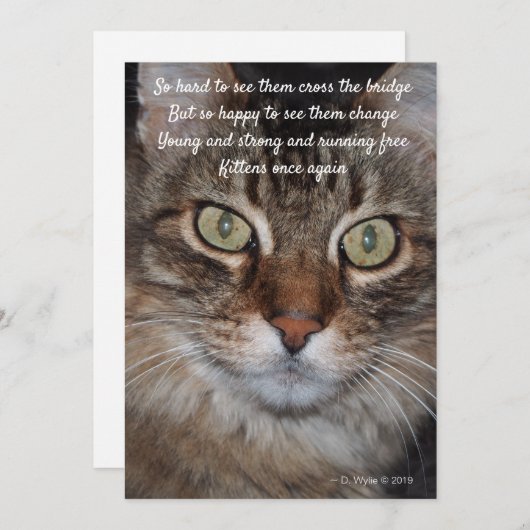 Rainbow Bridge - Cat (Vorne/Hinten)