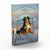 Rainbow Bridge Clouds Memorial Fotoblock (Links)