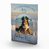 Rainbow Bridge Clouds Memorial Fotoblock (Rechts)