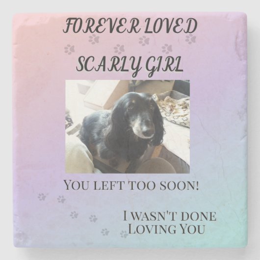 Rainbow Bridge Comfort Pet Memorial Keepsake Steinuntersetzer (Vorderseite)