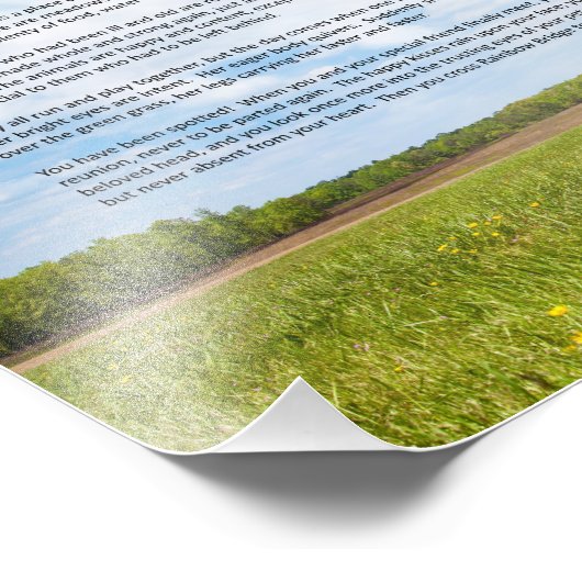 Rainbow Bridge FEMALE Hund Beileid Foto drucken (Ecke)