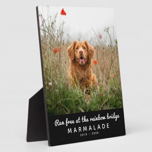 Rainbow Bridge Foto Pet Memorial Fotoplatte (Seite)