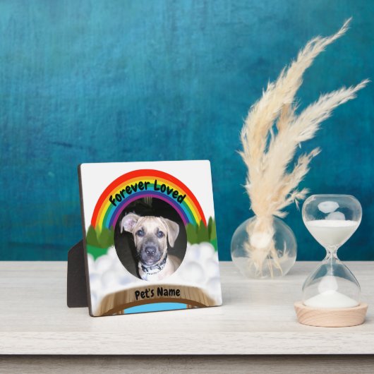 Rainbow Bridge Fotoplatte (InSitu)