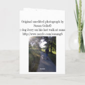 Rainbow Bridge-Gedicht-Karte Karte (Rückseite)