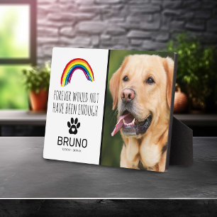 Rainbow Bridge Haustier-Andenken Fotoplatte