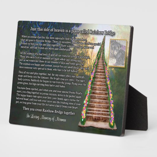 Rainbow Bridge Haustier Erinnerung Keepake Fotoplatte (Seite)