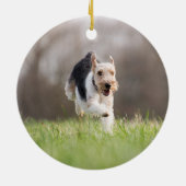 Rainbow Bridge Haustier-Foto-Runde Keramik Ornament (Hinten)