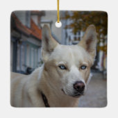 Rainbow Bridge-Hundemachorial, Benutzerdefiniertes Keramikornament (Rückseite)