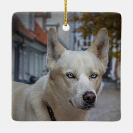 Rainbow Bridge-Hundemachorial, Benutzerdefiniertes Keramikornament (Rückseite)