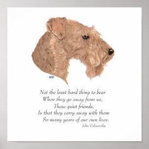 Rainbow Bridge Keepake Poster