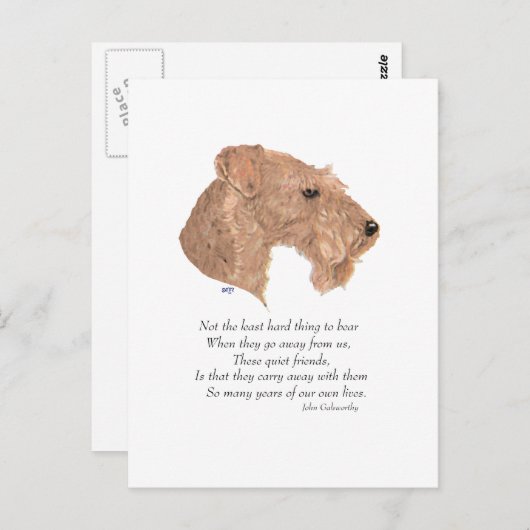 Rainbow Bridge Keepake Postkarte (Vorne/Hinten)