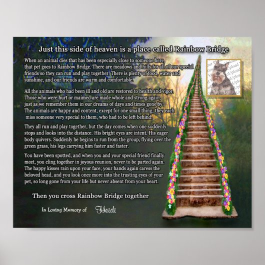 Rainbow Bridge Pet Loss Foto Wall Print Poster (Vorne)