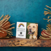 Rainbow Bridge | Pet Memorial Keepake Fotoplatte (Seite)
