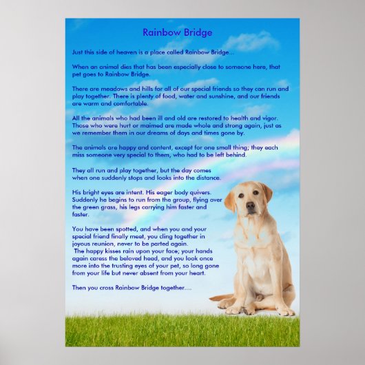 Rainbow Bridge Poster (Vorne)