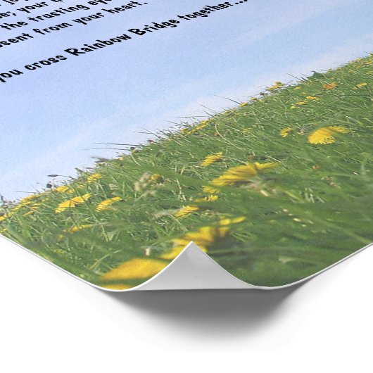 Rainbow Bridge Poster (Ecke)