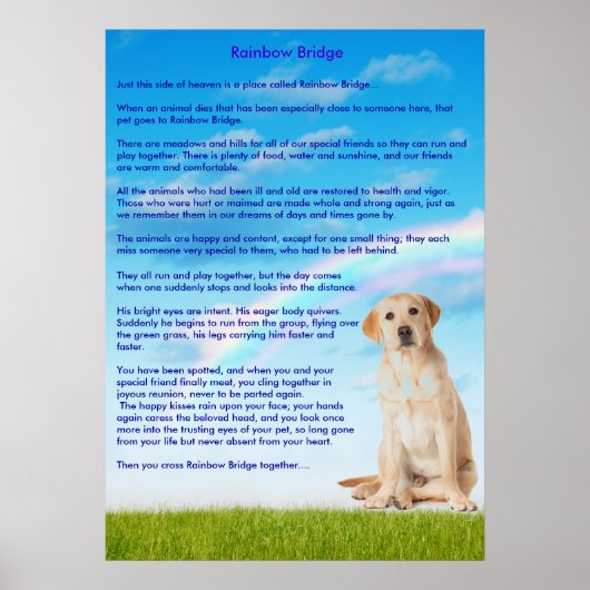 Rainbow Bridge Poster (Vorne)