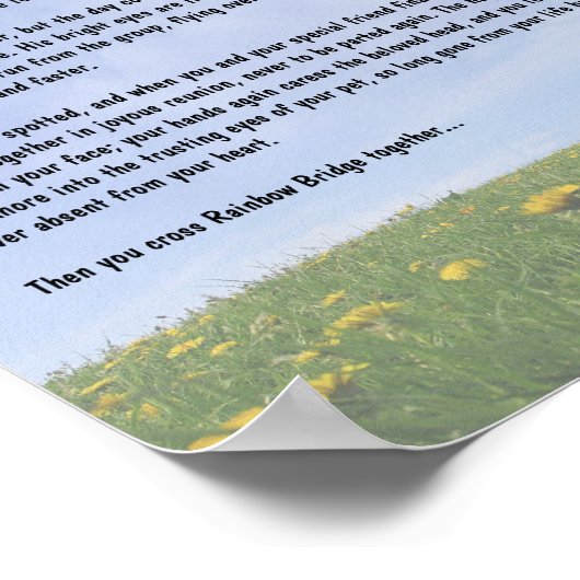 Rainbow Bridge Poster (Ecke)