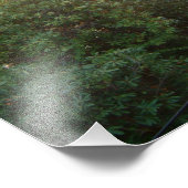 Rainbow Bridge Sunset an der Grove City Uni Fotodruck (Ecke)