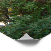 Rainbow Bridge Sunset an der Grove City Uni Poster (Ecke)