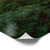 Rainbow Bridge Sunset an der Grove City Uni Poster (Ecke)