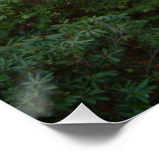 Rainbow Bridge Sunset an der Grove City Uni Poster (Ecke)