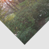 Rainbow Bridge Sunset an der Grove City Uni Seidenpapier (Ausschnitt)