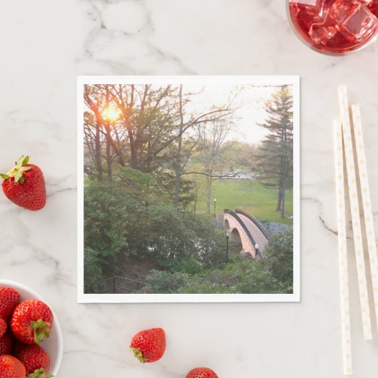 Rainbow Bridge Sunset an der Grove City Uni Serviette (Beispiel)