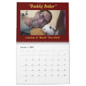 Rainbow Bunny Memorial Kalender 2021 (Jan 2027)