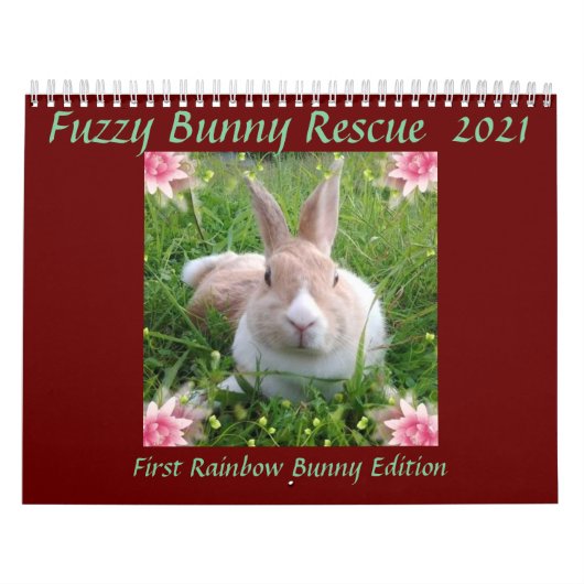 Rainbow Bunny Memorial Kalender 2021 (Titelbild)