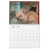 Rainbow Bunny Memorial Kalender 2021 (Feb 2026)