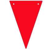 Rainbow Bunting | Anpassen von Text | LIEBE Wimpelkette (Erste Fahne)