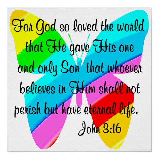 RAINBOW BUTTERFLY JOHN 3:16 DESIGN POSTER (Vorderseite)