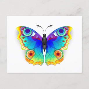 Rainbow Butterfly Peacock Eye Einladungspostkarte
