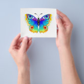 Rainbow Butterfly Peacock Eye Flyer (Gruppe)